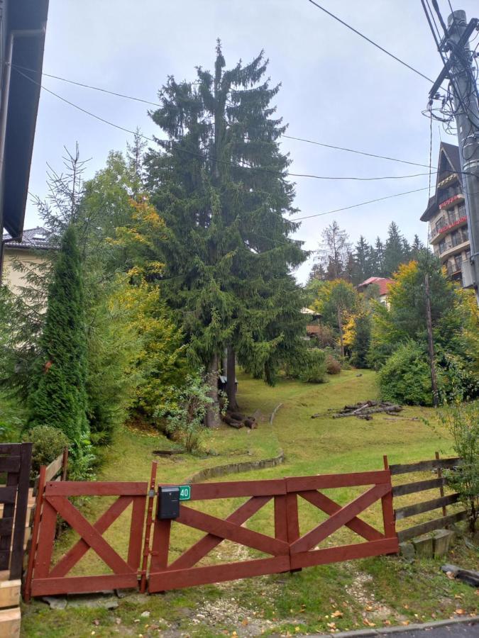 Apartament Aosta Central Sinaia 아파트 외부 사진