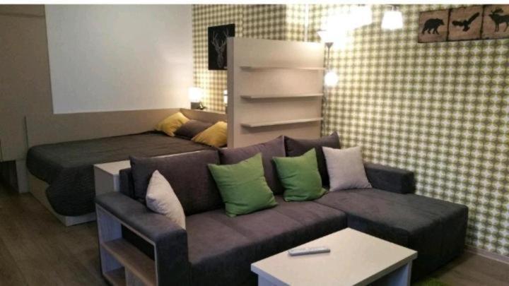 Apartament Aosta Central Sinaia 아파트 외부 사진